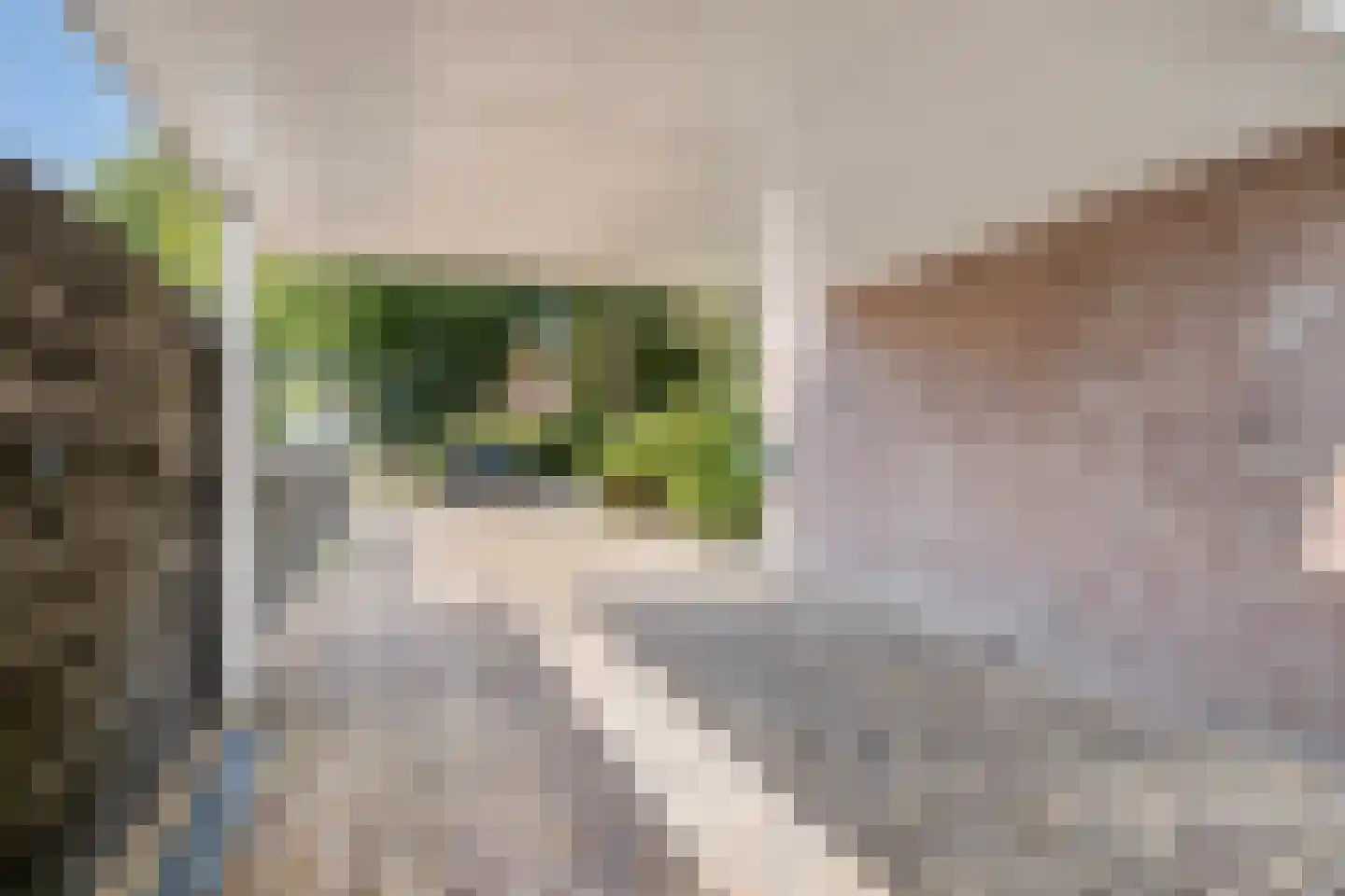 Beuninge 15 Warmenhuizen thumbnail 34