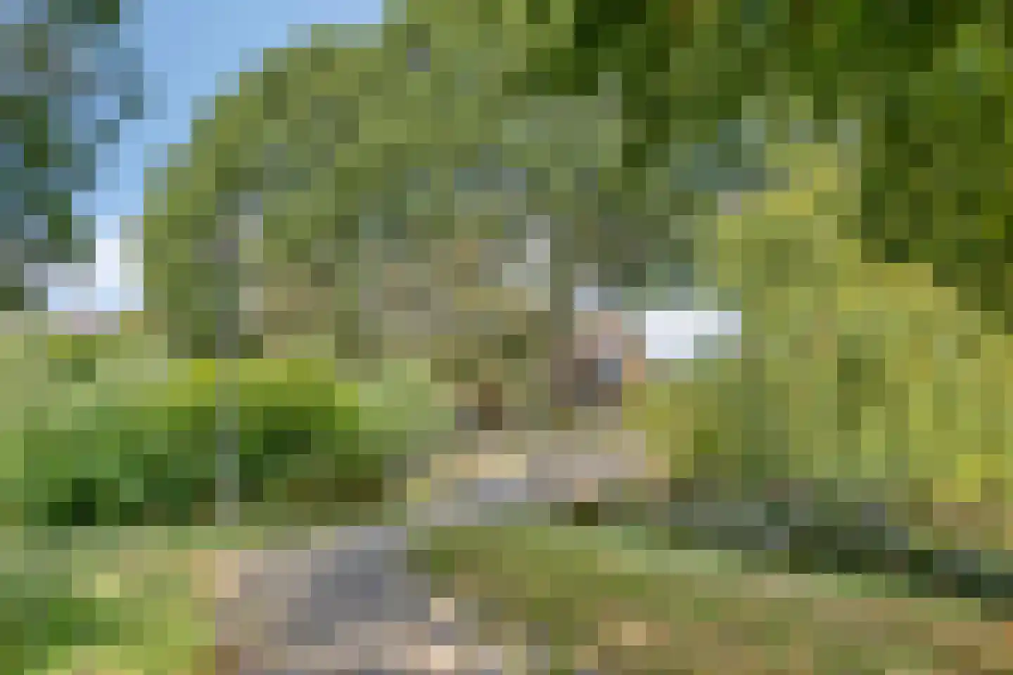 Beuninge 15 Warmenhuizen thumbnail 37