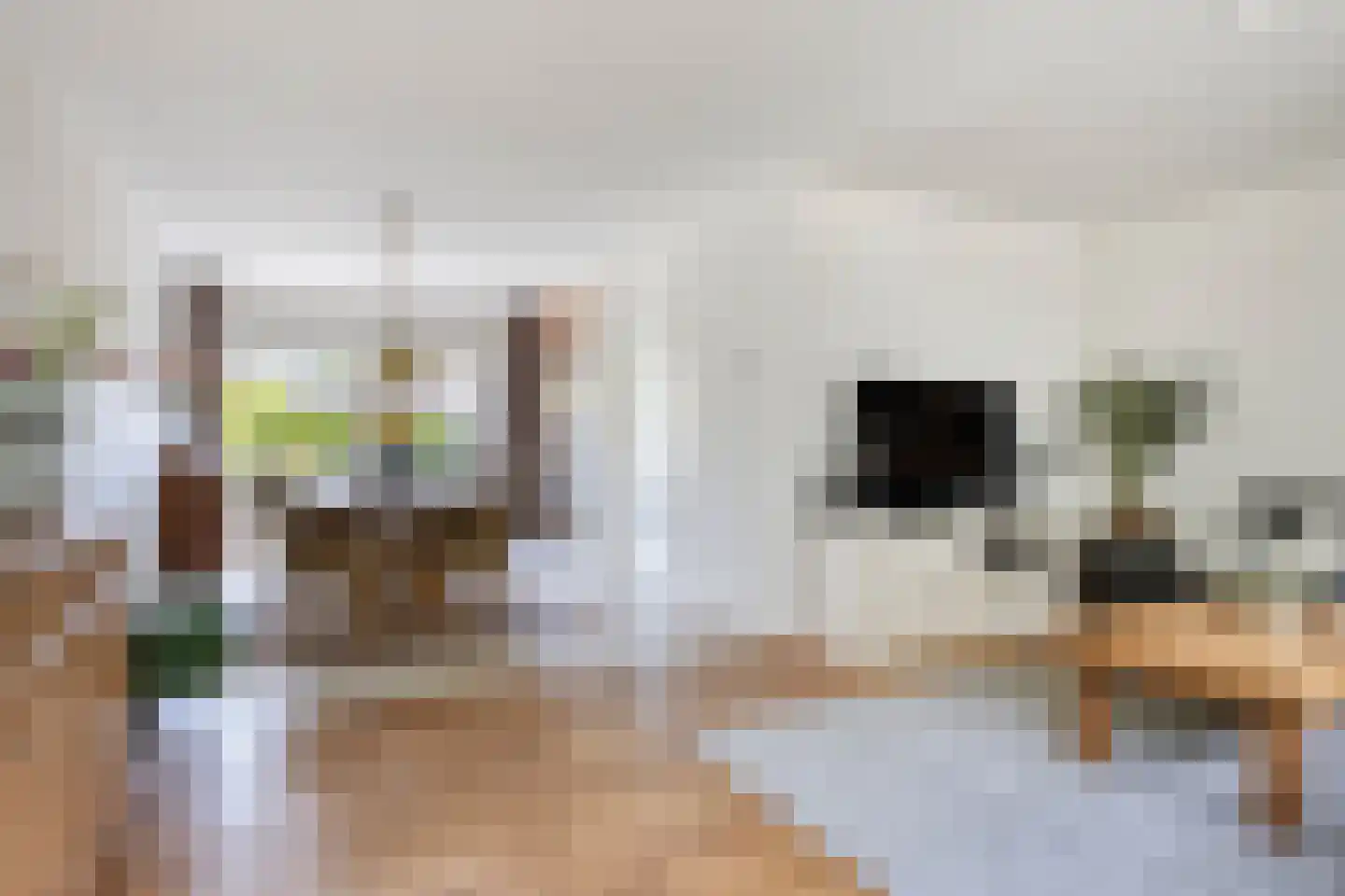 Beuninge 15 Warmenhuizen thumbnail 4