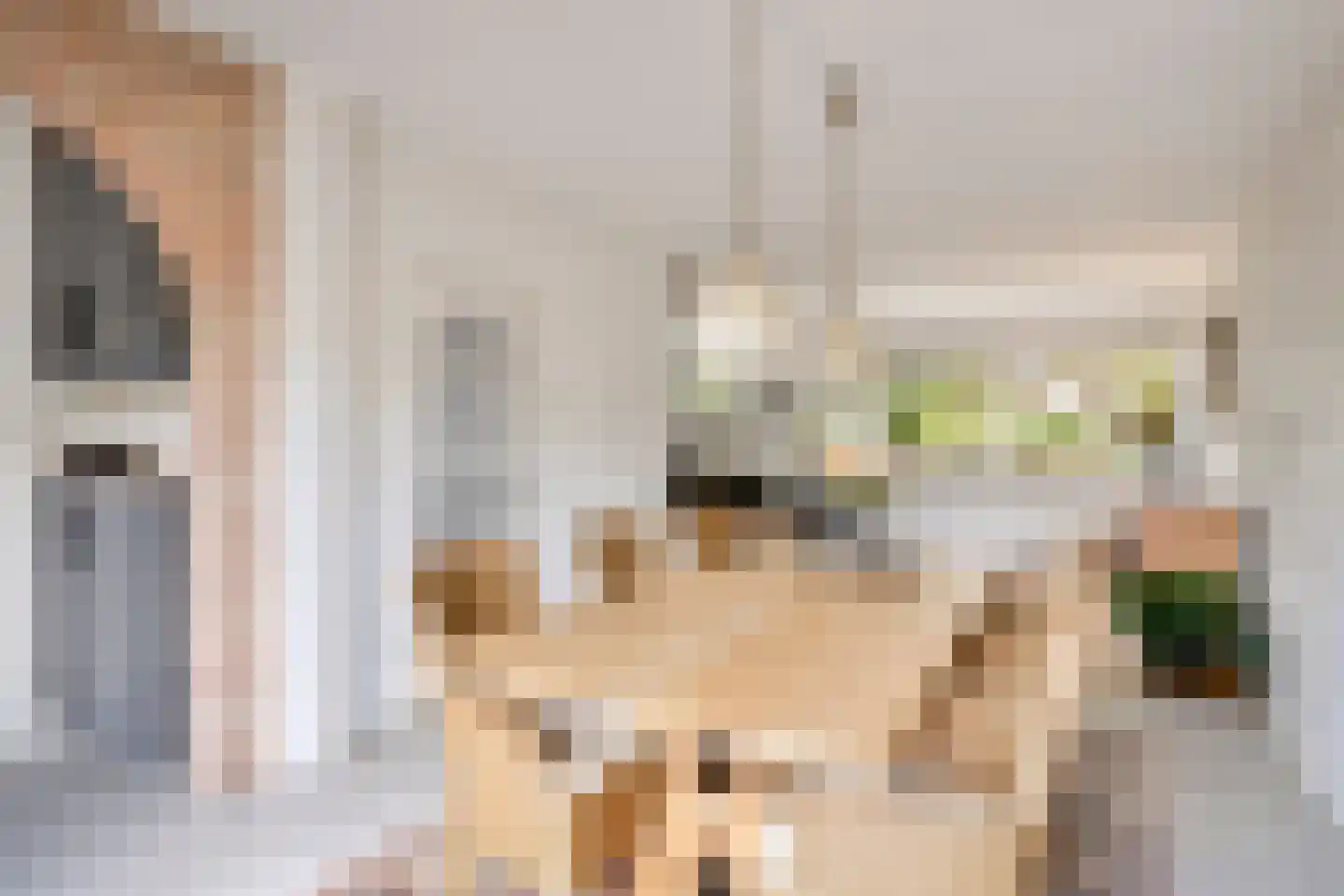 Beuninge 15 Warmenhuizen thumbnail 6