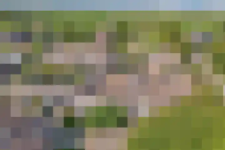 Beuninge 68 Warmenhuizen thumbnail 10