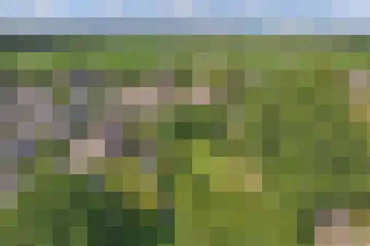 Beuninge 68 Warmenhuizen thumbnail 11