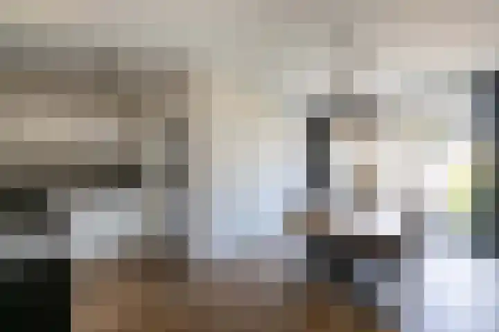 Beuninge 68 Warmenhuizen thumbnail 17