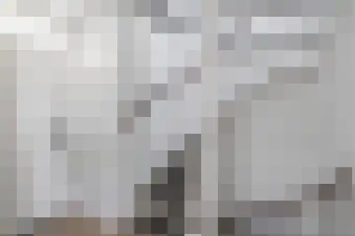 Beuninge 68 Warmenhuizen thumbnail 23