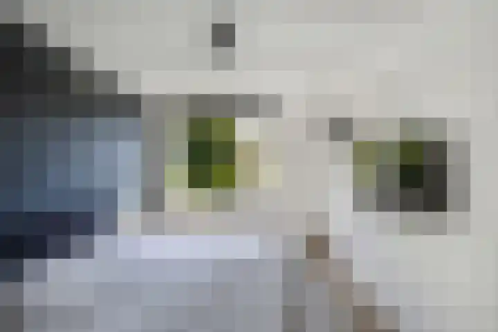 Beuninge 68 Warmenhuizen thumbnail 24