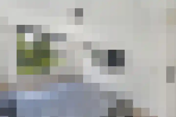 Beuninge 68 Warmenhuizen thumbnail 25