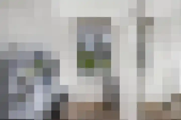 Beuninge 68 Warmenhuizen thumbnail 27