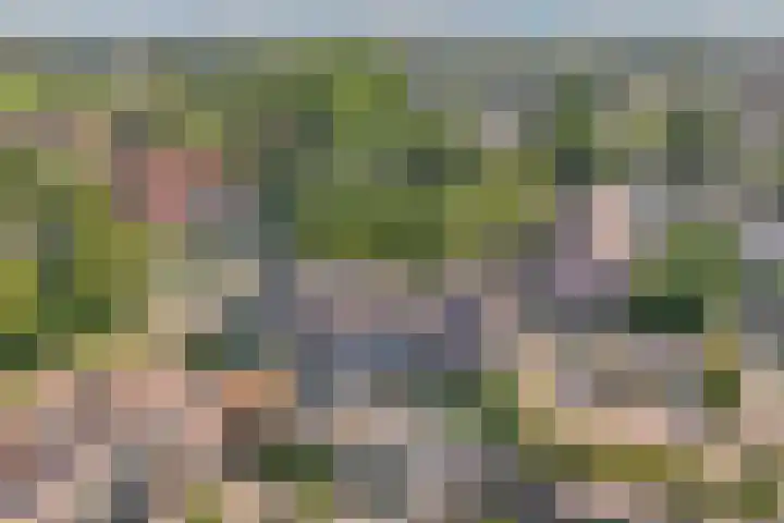 Beuninge 68 Warmenhuizen thumbnail 45