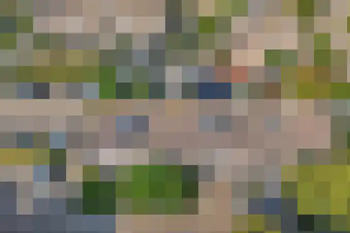 Beuninge 68 Warmenhuizen thumbnail 9