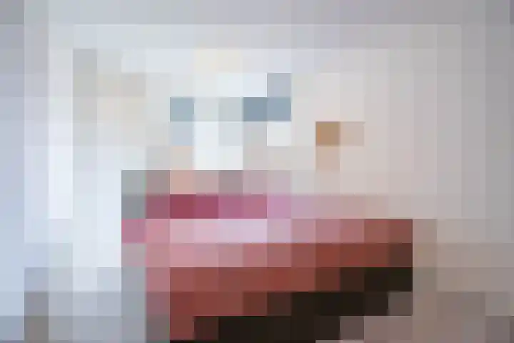 Beuningenstraat 20 Tilburg thumbnail 11