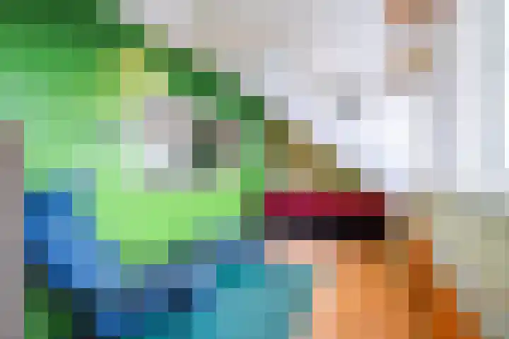 Beuningenstraat 20 Tilburg thumbnail 21