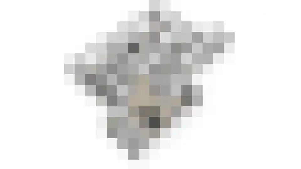 Beuningerbeemd 47 Beuningen (GE) thumbnail 59