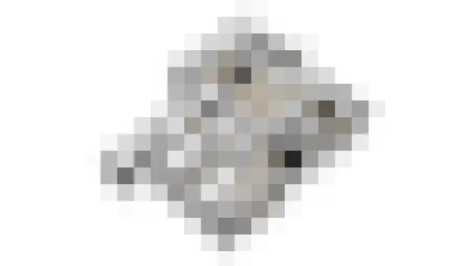 Beuningerbeemd 47 Beuningen (GE) thumbnail 60