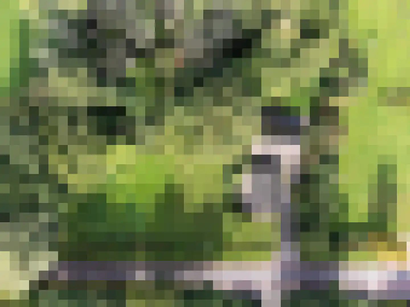 Beuningerstraat 5 de Lutte thumbnail 10