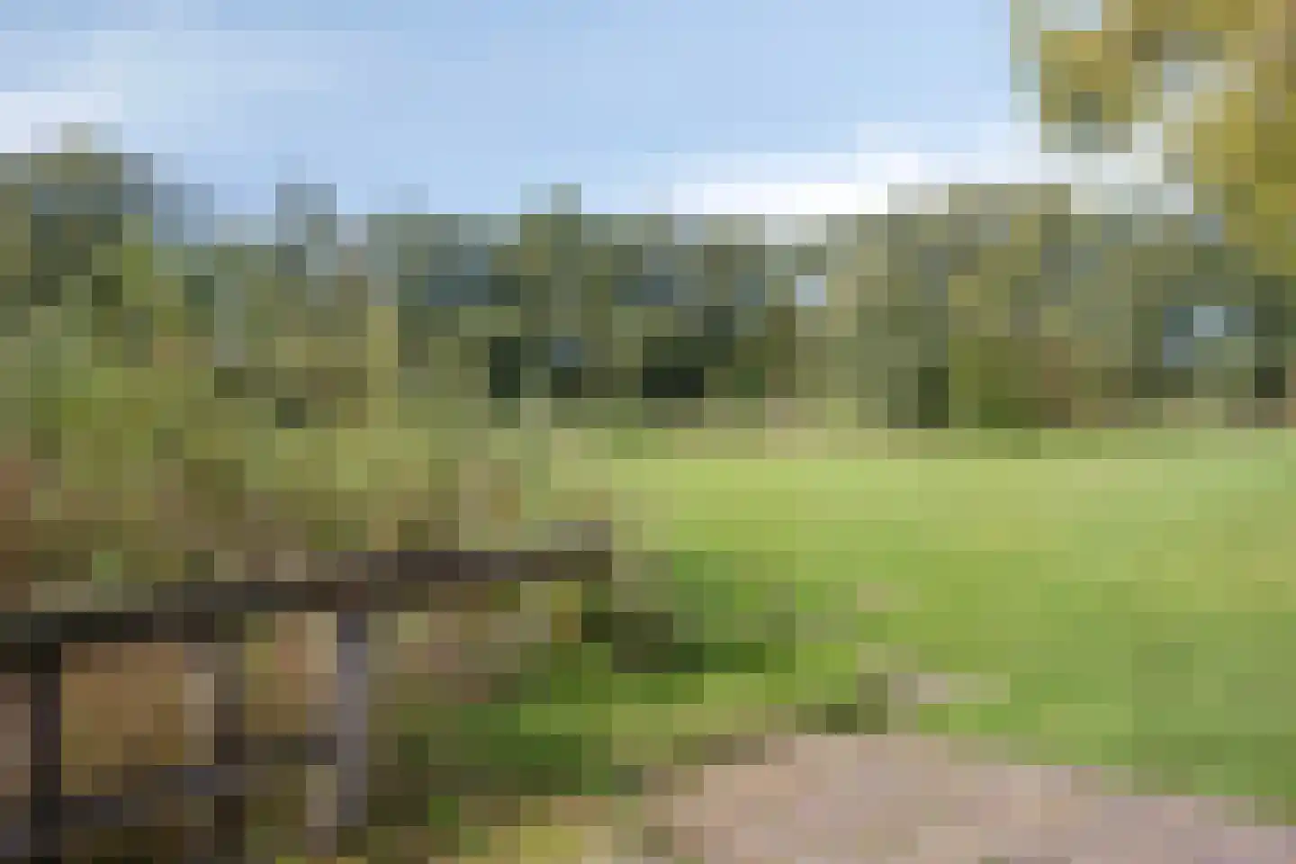 Beuningerstraat 5 de Lutte thumbnail 14