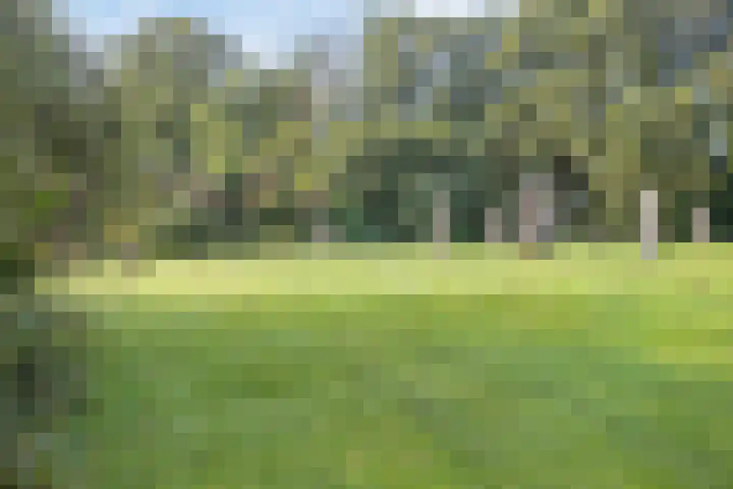 Beuningerstraat 5 de Lutte thumbnail 15