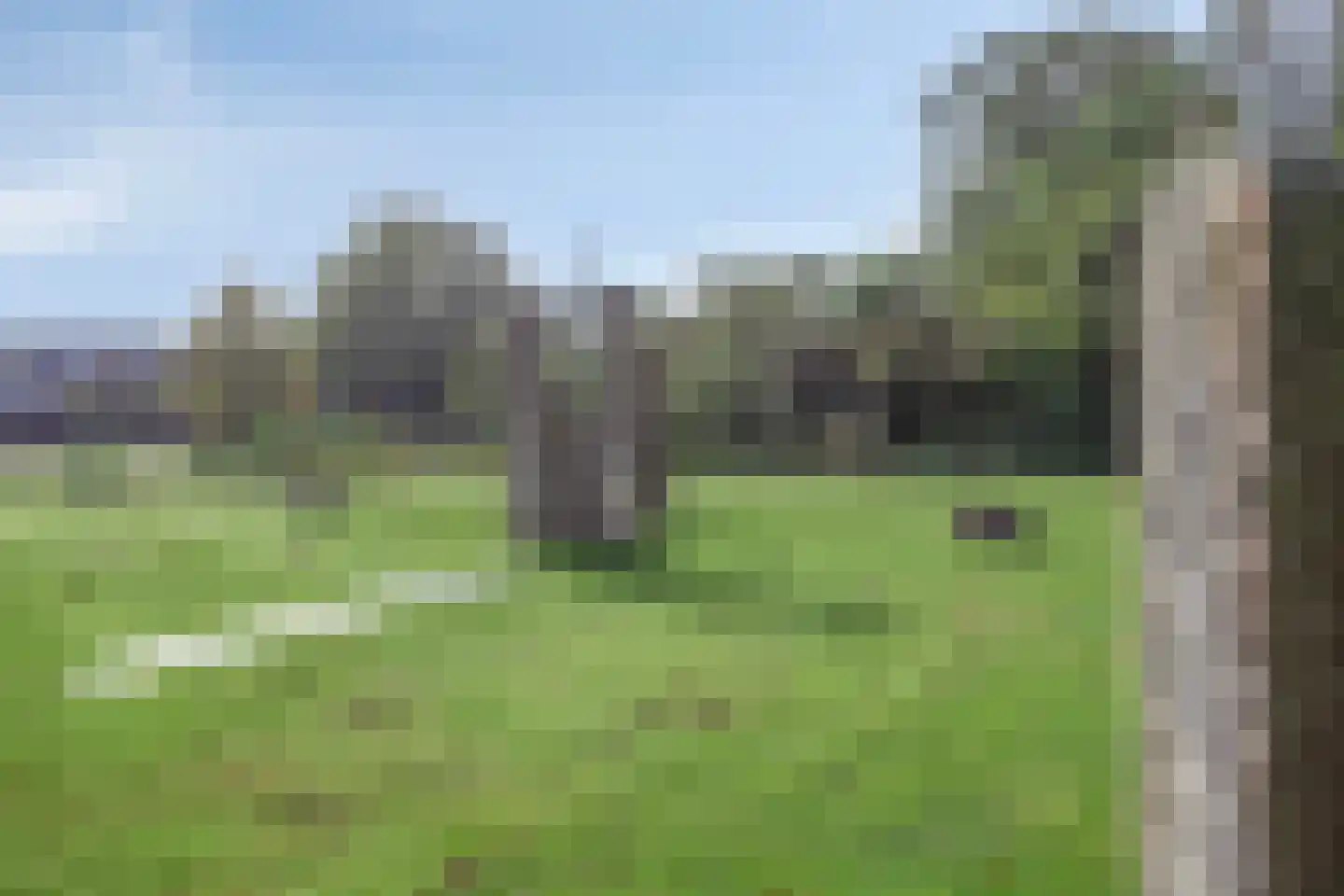 Beuningerstraat 5 de Lutte thumbnail 16
