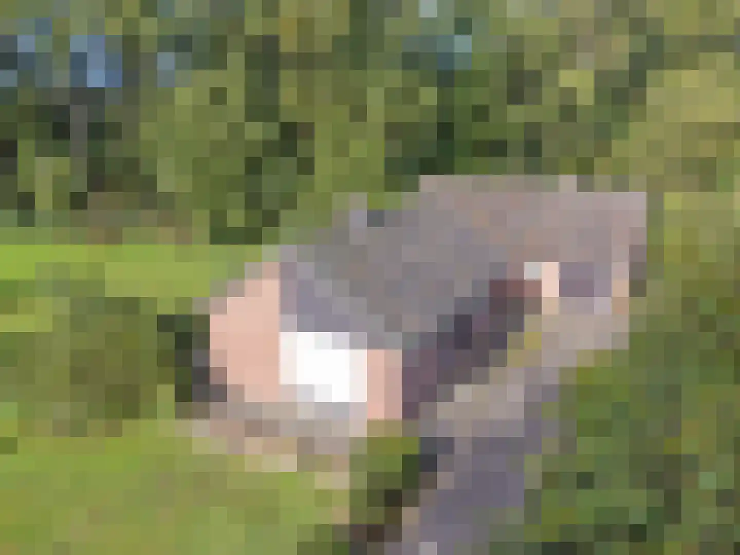 Beuningerstraat 5 de Lutte thumbnail 5