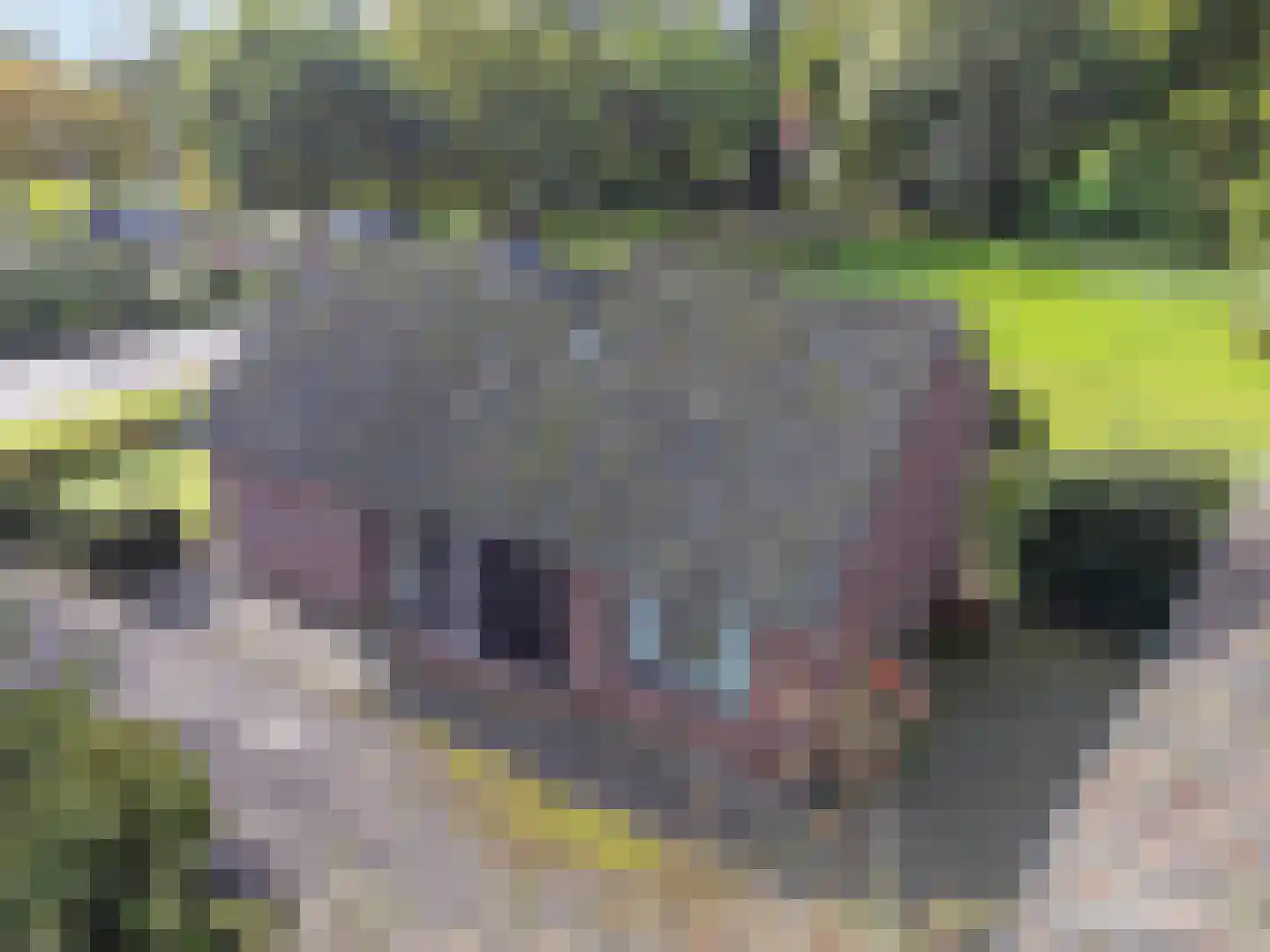 Beuningerstraat 5 de Lutte thumbnail 6