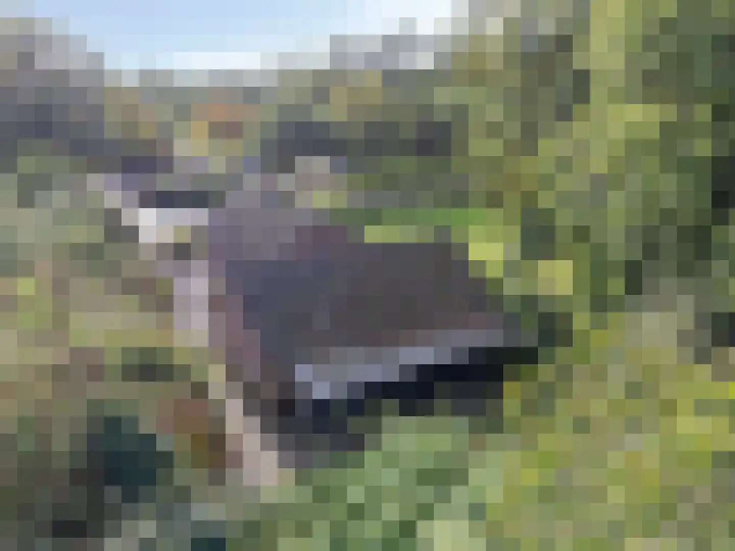 Beuningerstraat 5 de Lutte thumbnail 7