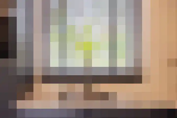 Beuningsesteeg 11 Wijchen thumbnail 11