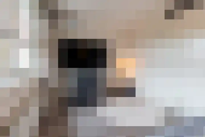 Beuningsesteeg 11 Wijchen thumbnail 14