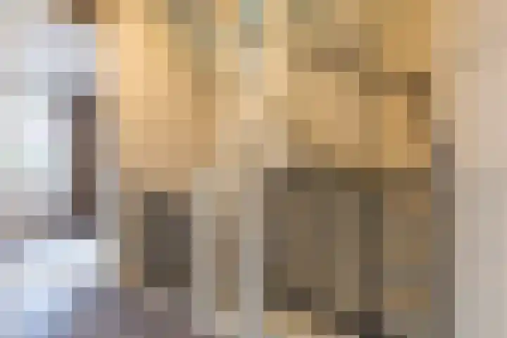 Beuningsesteeg 11 Wijchen thumbnail 18