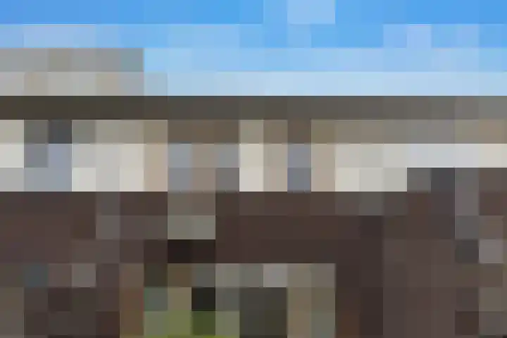 Beuningsesteeg 11 Wijchen thumbnail 21