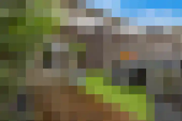 Beuningsesteeg 11 Wijchen thumbnail 23