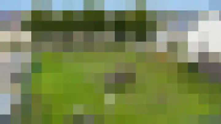 Beuningsesteeg 11 Wijchen thumbnail 24