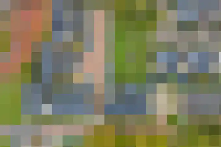 Beuningsesteeg 11 Wijchen thumbnail 25