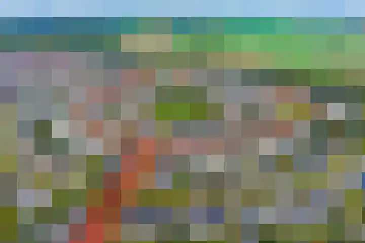 Beuningsesteeg 11 Wijchen thumbnail 26