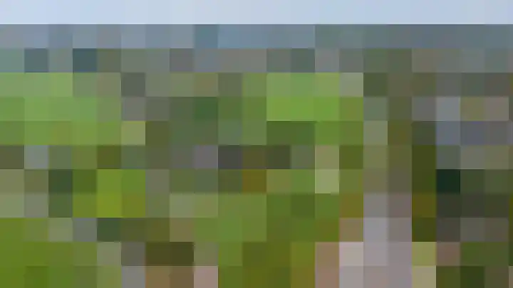 Beuningsesteeg 11 Wijchen thumbnail 28