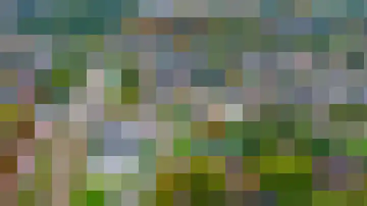 Beuningsesteeg 11 Wijchen thumbnail 30