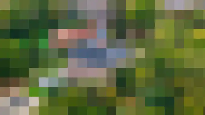 Beuningsesteeg 11 Wijchen thumbnail 31