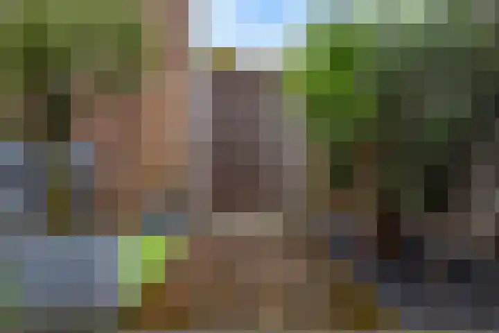 Beuningsesteeg 11 Wijchen thumbnail 7