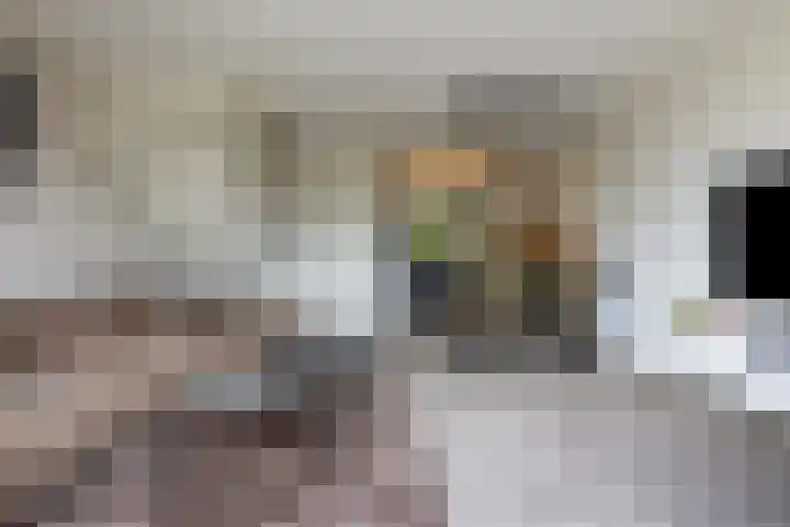 Beuningsesteeg 11 Wijchen thumbnail 8