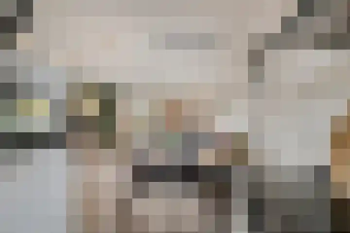 Beuningsesteeg 17 Wijchen thumbnail 10
