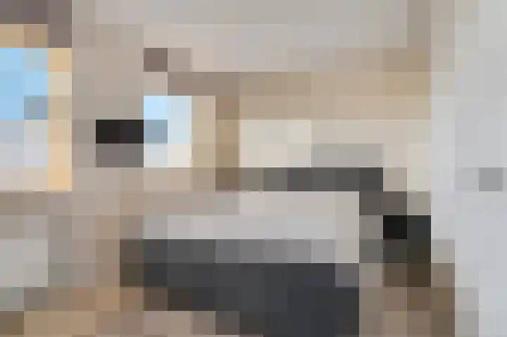 Beuningsesteeg 17 Wijchen thumbnail 15