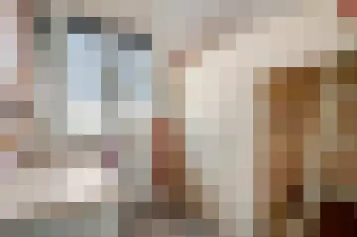 Beuningsesteeg 17 Wijchen thumbnail 17