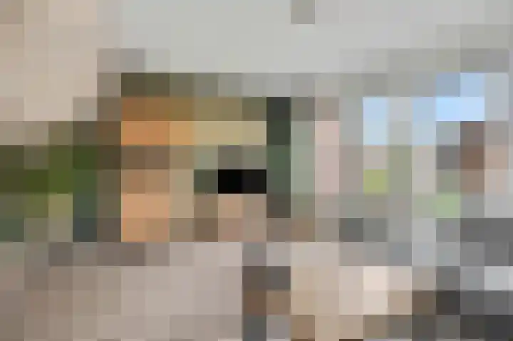 Beuningsesteeg 17 Wijchen thumbnail 4