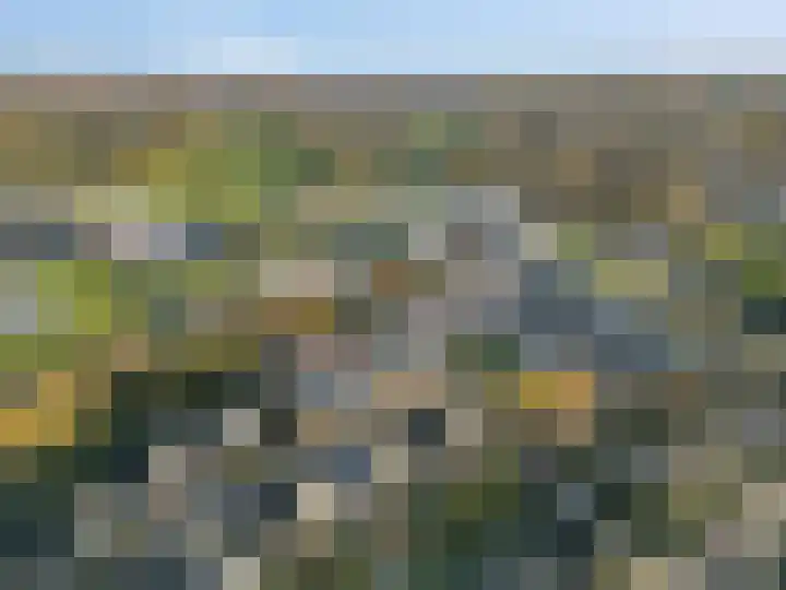 Beuningsesteeg 17 Wijchen thumbnail 40