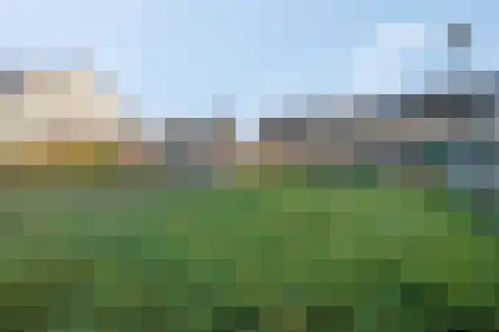 Beuningsesteeg 17 Wijchen thumbnail 41