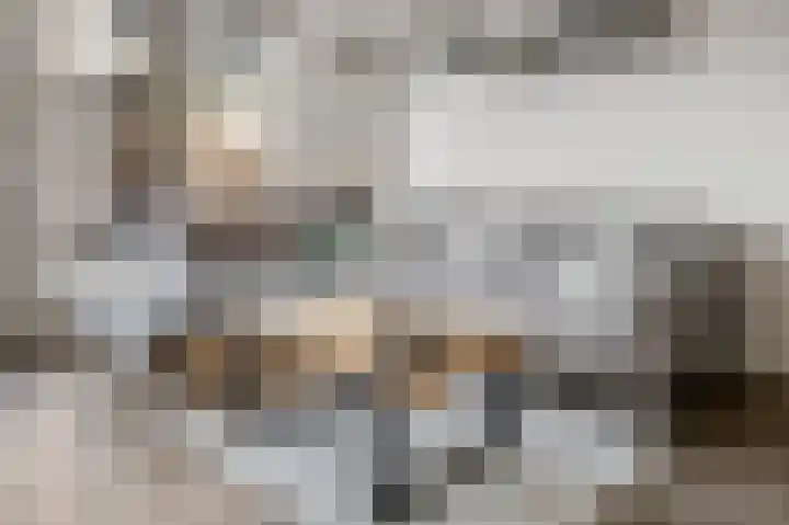 Beuningsesteeg 17 Wijchen thumbnail 7