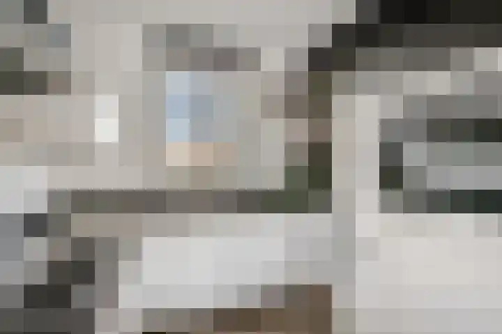 Beuningsesteeg 17 Wijchen thumbnail 8