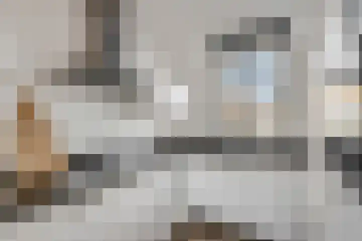 Beuningsesteeg 17 Wijchen thumbnail 9