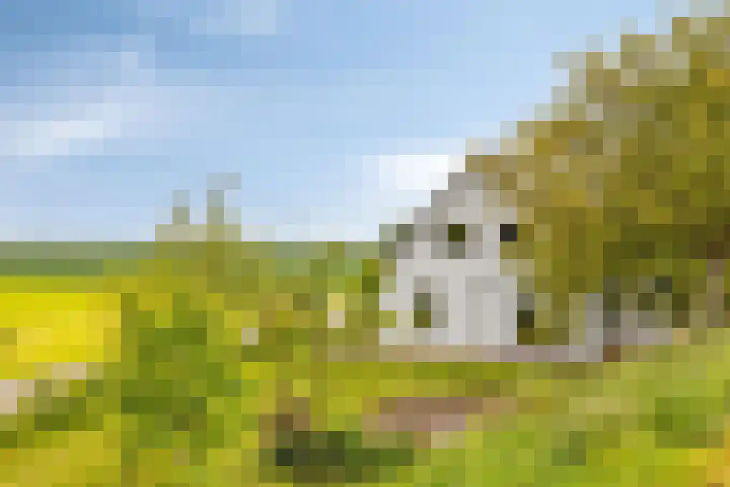 Beuningsestraat 2 Aerdt thumbnail 10