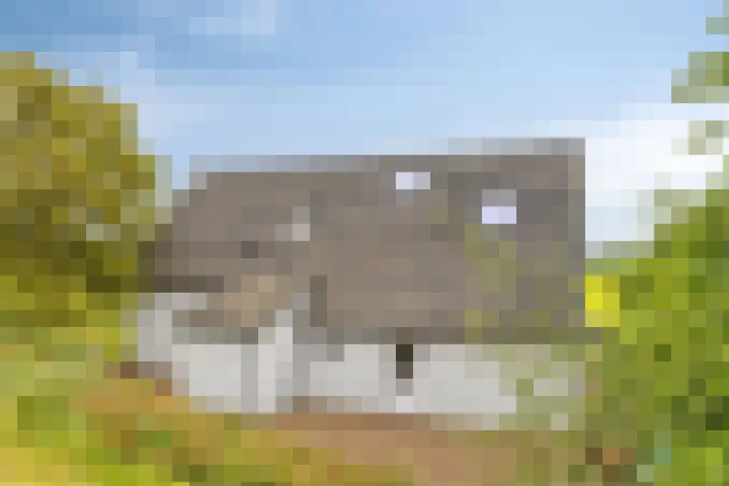 Beuningsestraat 2 Aerdt thumbnail 11
