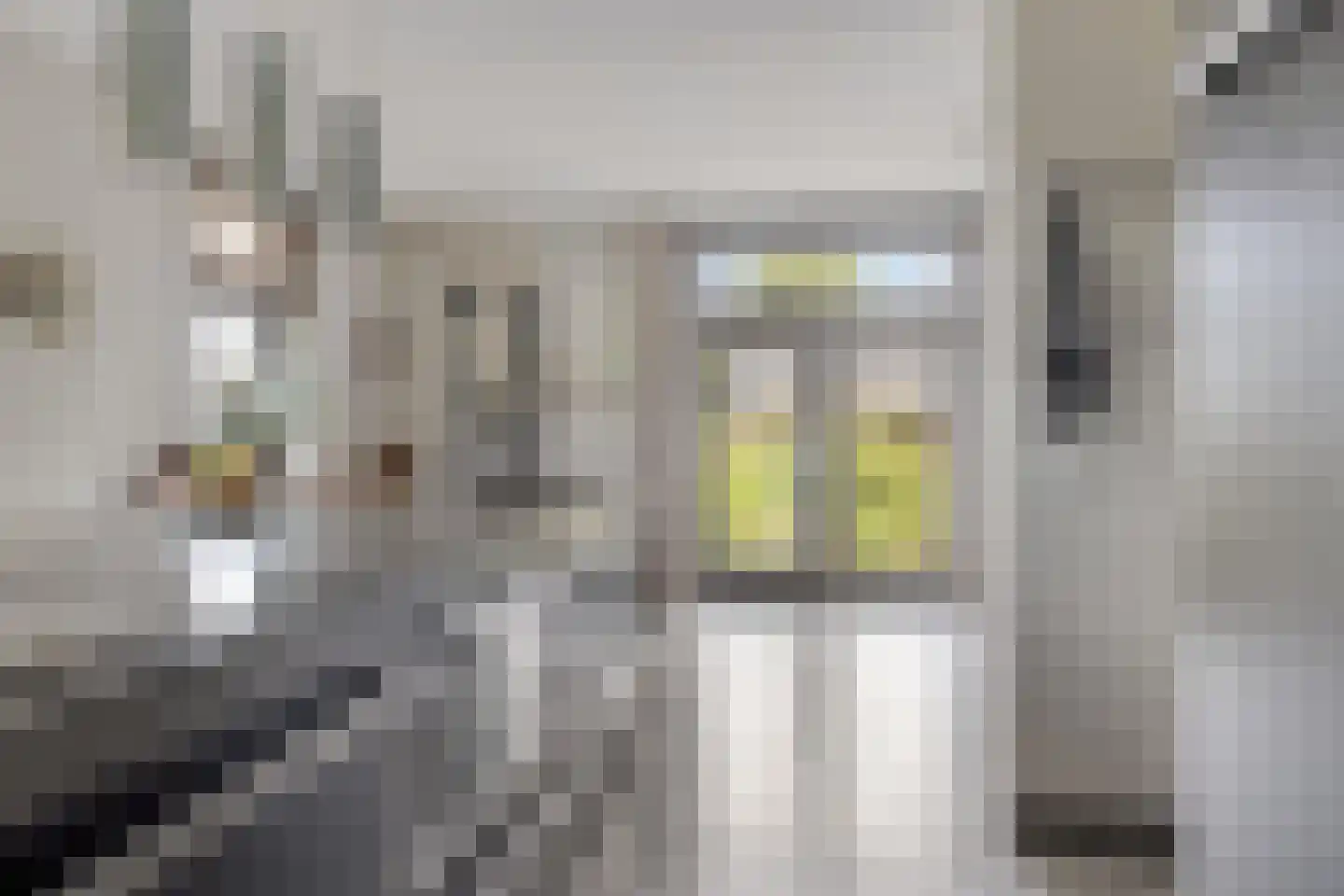 Beuningsestraat 2 Aerdt thumbnail 19