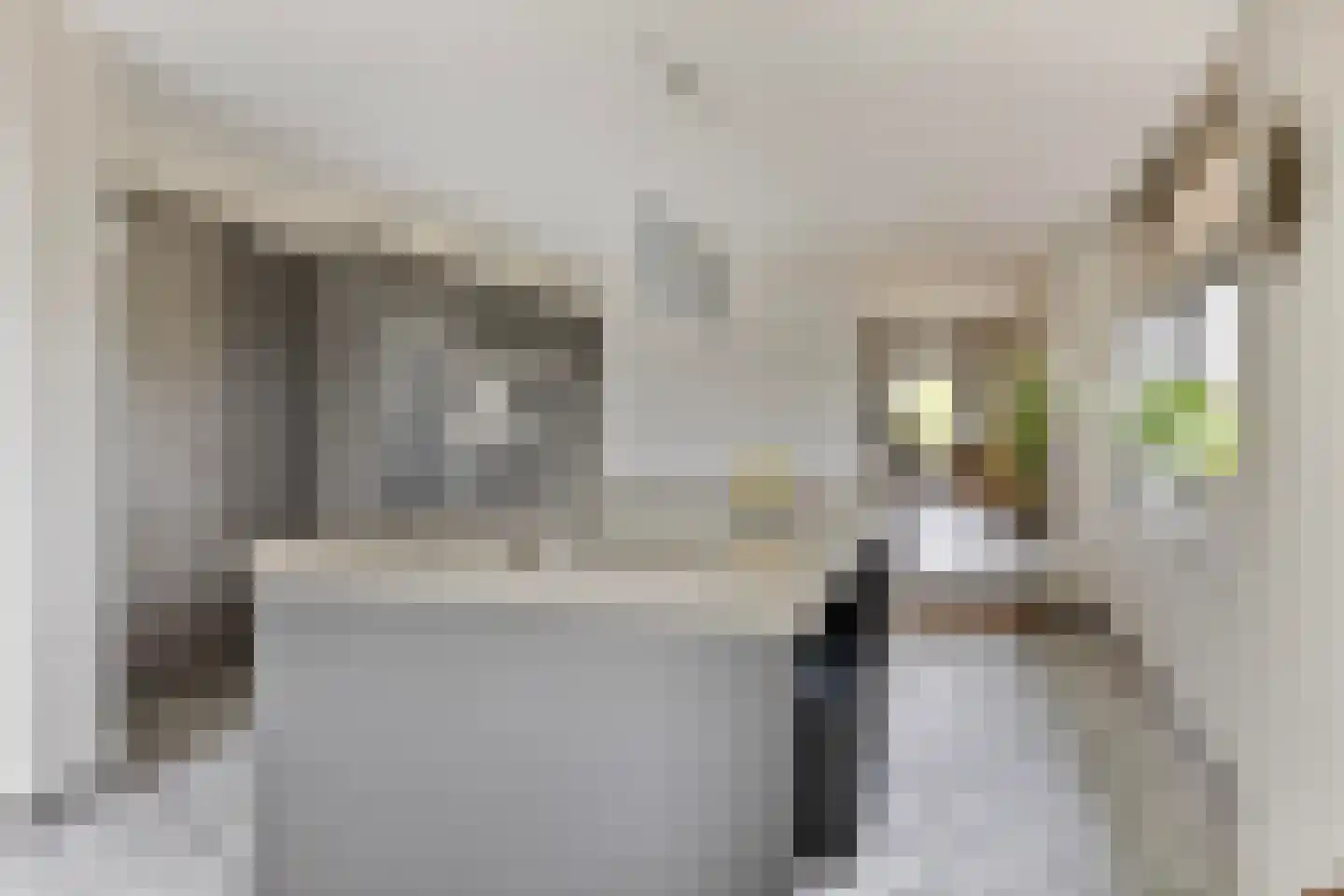 Beuningsestraat 2 Aerdt thumbnail 22
